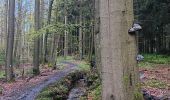 Trail Walking Spa - de la Sauveniere à la Reine, autour de Malchamps  - Photo 18