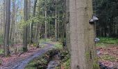 Randonnée Marche Spa - de la Sauveniere à la Reine, autour de Malchamps  - Photo 18