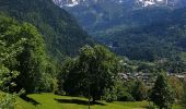 Randonnée Marche Les Houches - servoz - Photo 8