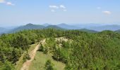 Trail On foot Unknown - 鴨沢-雲取山登山道 - Photo 2