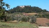 Percorso A piedi Montespertoli - Dolce campagna, antiche mura 2 - Photo 5