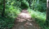 Trail Walking Marconne - Balade biodiversité - Photo 5