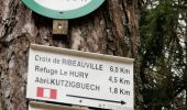 Trail Walking Sainte-Croix-aux-Mines - boucle col haut de Ribeauvillé - taennchel sentier des roches  - Photo 2