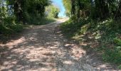 Tour Wandern La Charité-sur-Loire - La charité chemin de Compostelle - Photo 3