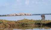 Tocht Stappen Peyriac-de-Mer - 20211024 boucle Peyriac-de-mer, Bages - Photo 2