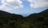 Tour Wandern Água de Alto - Lago de fuego - Photo 12