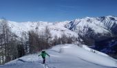 Tour Skiwanderen Saint-Dalmas-le-Selvage - tentative de la crête de carpasse, et la croix de carlet - Photo 4