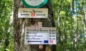 Tour Wandern Ventron - tour dans le Ventron - Photo 12