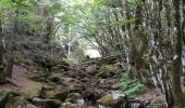 Trail Walking Val-d'Aigoual - cascades orgon - Photo 5