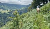 Excursión Paseo ecuestre Accous - Accous-Lescun-Lhers - Photo 14