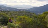 Tour Wandern La Valette-du-Var - SityTrail - Le Revest - Tourris - Confinement 04 2021 - Photo 18