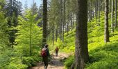 Tour Wandern Eupen - Ternell -Eupen - Photo 14