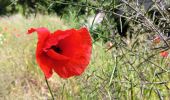 Tour Wandern Ans - derrière carrefour ans ... - Photo 2