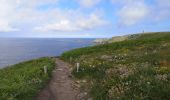 Tour Wandern Plogoff - la baie des Trépassés  - Photo 19