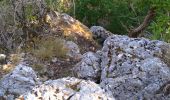 Trail Walking Dortan - col de la Tendue pierre qui vire  - Photo 3