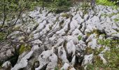 Tocht Stappen Autrans-Méaudre en Vercors - autrans - Photo 14