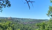 Tocht Stappen Najac - Du vvf à l’Aveyron  - Photo 1