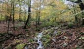 Trail Walking Florenville - rando les epioux 31-10-2023 - Photo 7