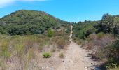 Randonnée Marche Bélesta - belesta bousillé par une fermeture du massif - Photo 7