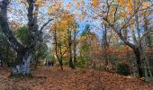 Tocht Stappen Puget-Ville - SityTrail - Terre blanche et tour du Faucon départ de Puget ville  - Photo 16