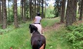 Trail Horseback riding Fraize - Fraize-Orbey - Photo 4