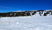 Trail Snowshoes Bédoin - Raquettes Chalet Reynard  - Photo 1