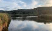Trail On foot Palasca - Haute-Corse - Photo 2
