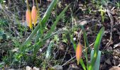 Tocht Stappen La Valette-du-Var - SityTrail - Le tour du coudon - Photo 7