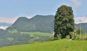 Trail On foot Kastelruth - Castelrotto - IT-5 - Photo 8