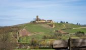 Excursión A pie Sulzfeld - Ravensburg-Tour - Photo 9