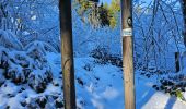 Trail Cross-country skiing Thélis-la-Combe - ski alternatif - Photo 8