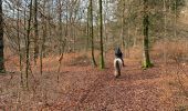 Tocht Paardrijden Habay - Forêt de Rulles - Photo 11