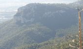 Excursión Senderismo Le Revest-les-Eaux - Le Mont Caume - Photo 17