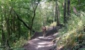 Tour Wandern Lüttich - Terril de Vittel - Fond des Tawes - Photo 2