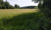 Randonnée Marche Orcines - Randonnée le long des Puys - Photo 4