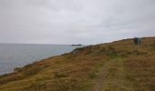 Percorso Marcia West Cork - toe head and cliffs - Photo 3