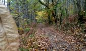 Trail Walking Lanquais - Lanquais - Photo 3