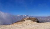 Tour Wandern Névache - Mont Thabor à partir des Granges  - Photo 4