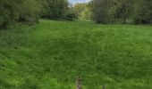 Percorso Quad Cognat-Lyonne - à retoucher  - Photo 2