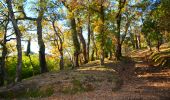 Tour Wandern La Garde-Freinet - SityTrail - Fort Freinet-la Garde-Freinet-02-06-23 - Photo 7