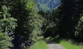 Trail Walking Mont-Dore - Première randonnée dans le Sancy - Photo 7