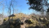 Trail  Gerbépal - Gerbépal - Photo 4