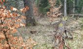 Trail Walking Pradelles - Tour sommets live de Pradelles  - Photo 5
