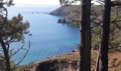 Excursión Senderismo Crozon - cap de la chèvre depuis maison des minéraux  - Photo 4