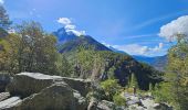 Randonnée Marche Chamonix-Mont-Blanc - J19 - R18 - Le Chapeau - Photo 18