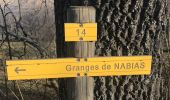 Trail Walking Adervielle-Pouchergues - Loudanvielle jour 4 - Photo 7