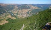 Percorso Marcia Gorges du Tarn Causses - La Condamine, le Single  - Photo 1