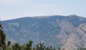 Randonnée Marche Val-d'Aigoual - Cascade d'Orgon depuis Cap de Côte - vue Mont Aigoual - Photo 17