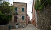 Tour Zu Fuß Manciano - n.7 Manciano - Montemerano - Photo 1
