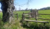 Randonnée Marche Theux - neufmarteau . trou colas . royonpré . neufmarteau  - Photo 14